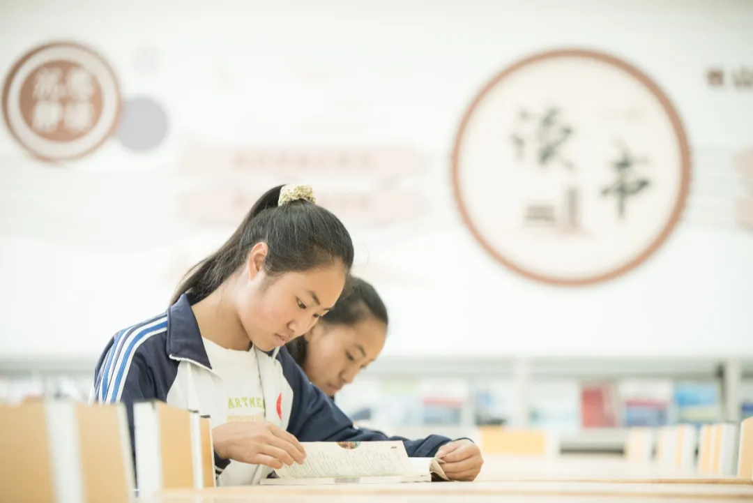 “最悲伤作文”后续