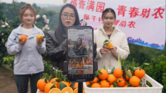 大学生直播助农销售柑橘