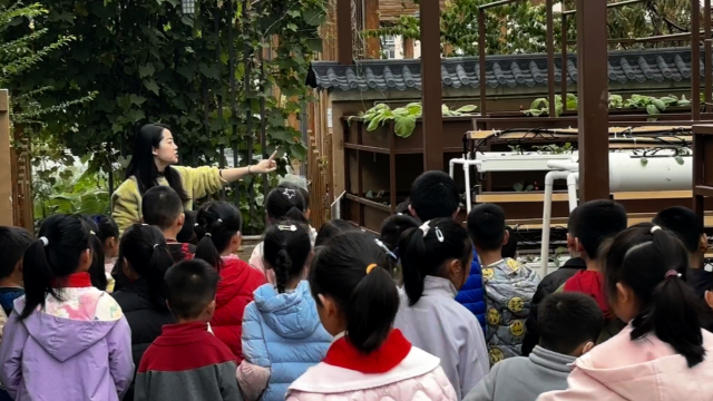 秋假校内托管，托起“家长的安心”与“孩子的开心”