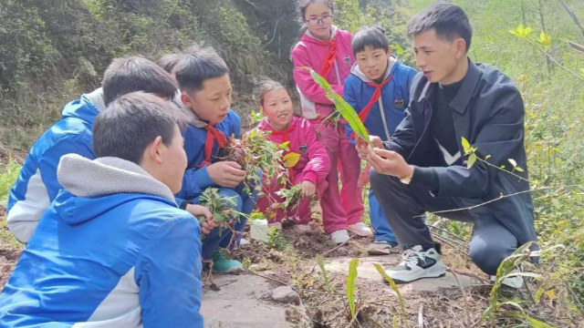 宣汉县厂溪镇梨子中心校：深耕中医药文化 培育新时代少年