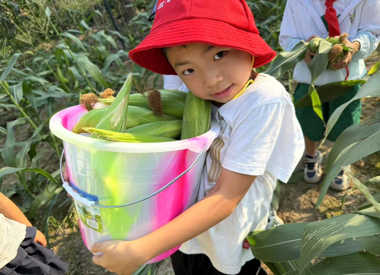 QQ图片20250616111351