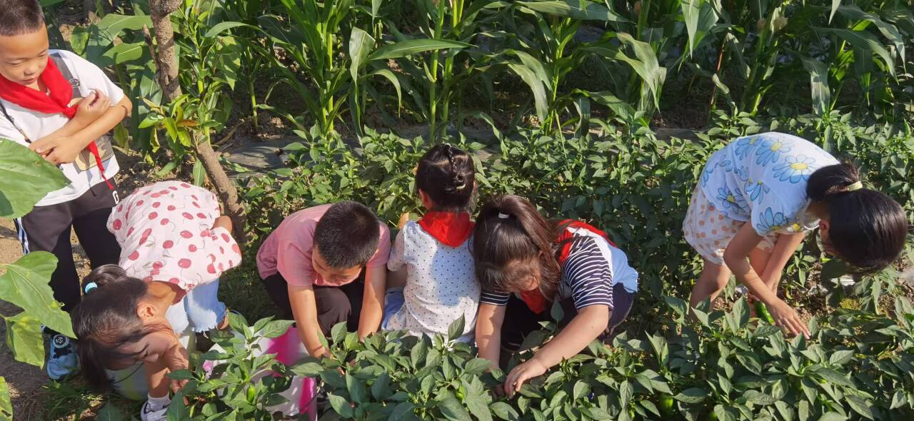 QQ图片20250616111408