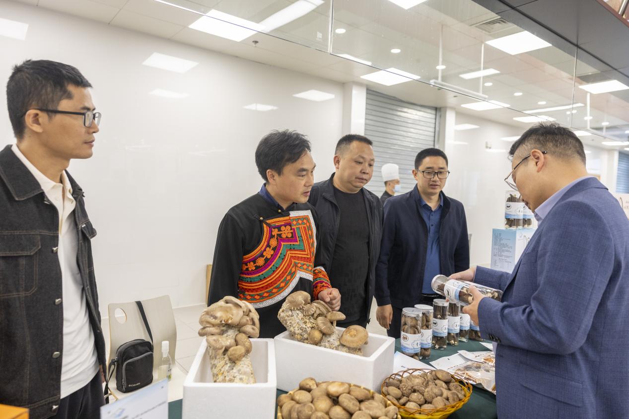 微信图片_20250429082812